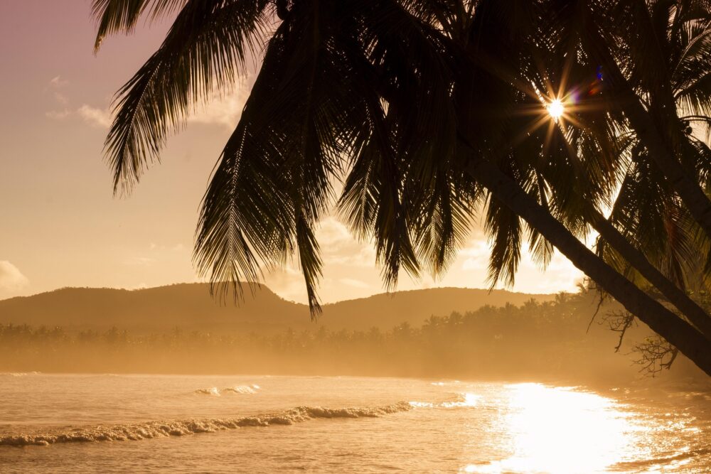 SP-Tropical - pexels-beach-1834648_1920